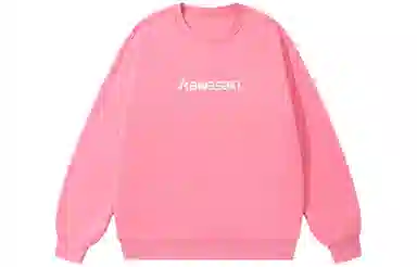 Kawasaki Logo