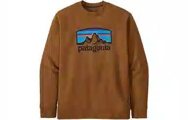 patagonia Fitz Roy Horizons Uprisal Crew