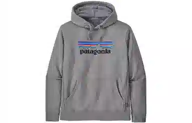 Patagonia Logo Hoodie