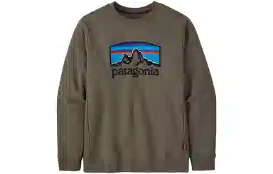 patagonia Fitz Roy Horizons Uprisal Crew