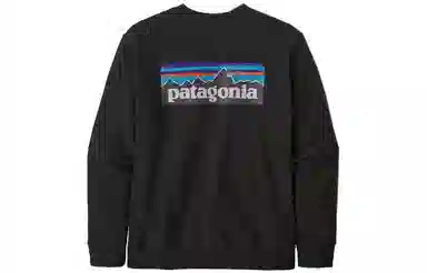 Patagonia