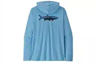 patagonia T