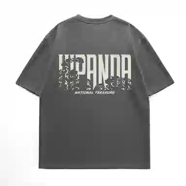 HIPANDA T
