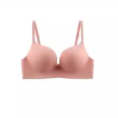 黛尔佳人 小胸聚拢显大舒适无钢圈收副乳防下垂软支撑文胸 女款
