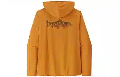 patagonia T