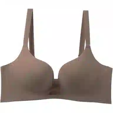 黛尔佳人 小胸聚拢显大上托防下垂文胸 女款