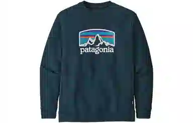 patagonia Fitz Roy Horizons Uprisal Crew