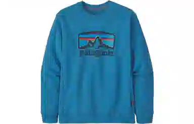 patagonia Fitz Roy Horizons Uprisal Crew