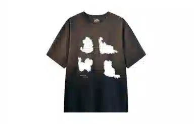 MANYSTON T