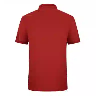GY goldlion Polo