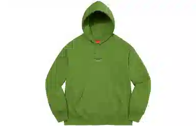 Supreme World Famous Micro Hooded Sweatshirt