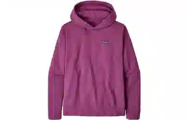 Patagonia Hoodie
