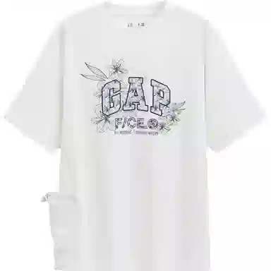 GAP FCE logoT