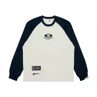 Aape T