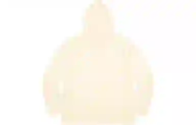 Supreme CELEBRÉ Hooded Top