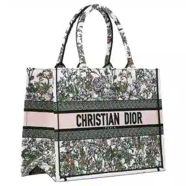 DIOR BookTote Tote