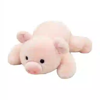 Brangdy 18cm