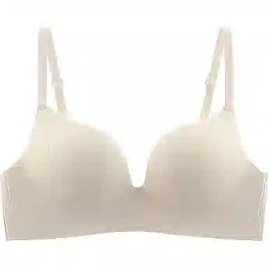 黛尔佳人 小胸聚拢显大舒适无钢圈收副乳防下垂软支撑文胸 女款
