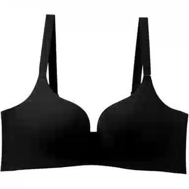 黛尔佳人 小胸聚拢显大上托防下垂文胸 女款