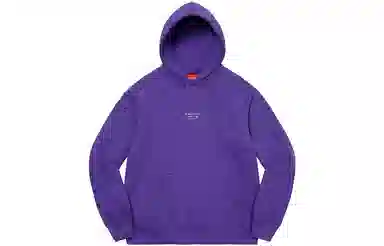 Supreme World Famous Micro Hooded Sweatshirt