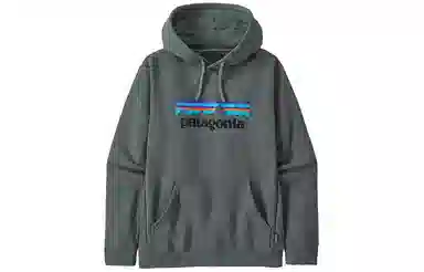 Patagonia Logo Hoodie