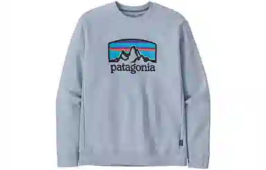 patagonia Fitz Roy Horizons Uprisal Crew