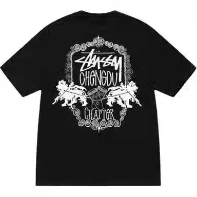 Stussy FW24 T
