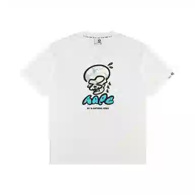 Aape T