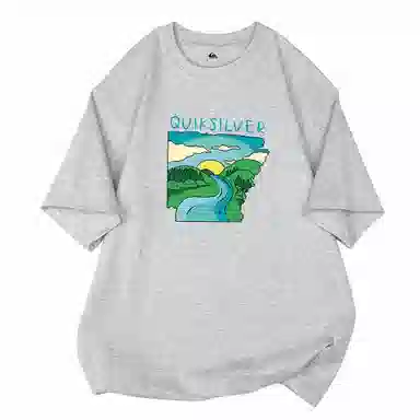 Quiksilver T