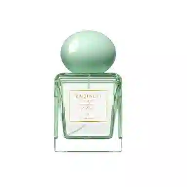 YAQINUO EDT
