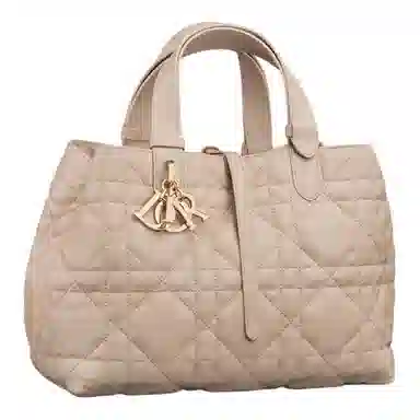 DIOR Toujours Tote