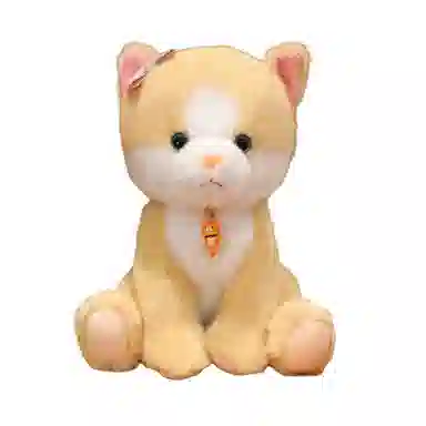 25cm