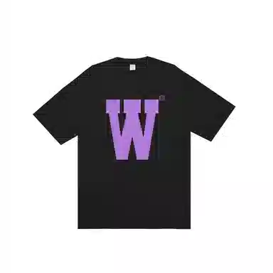 OASISVR 2025Cleanfit260gT