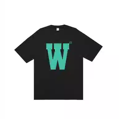 OASISVR 2025Cleanfit260gT