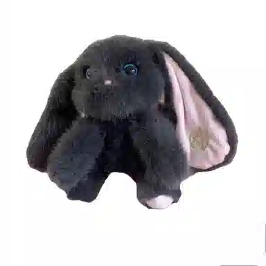 lionf 25cm