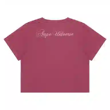 Aape T