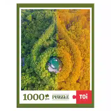 TOI 1000pcs 23504