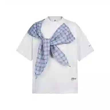 WELTER EXPERIMENT 280g280gT