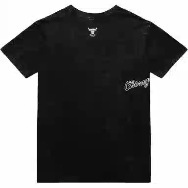 Mitchell Ness x NBA Chicago Bulls Destination Leisure Premium Graphic T