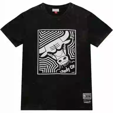 Mitchell Ness x NBA Chicago Bulls Destination Leisure Premium Graphic T
