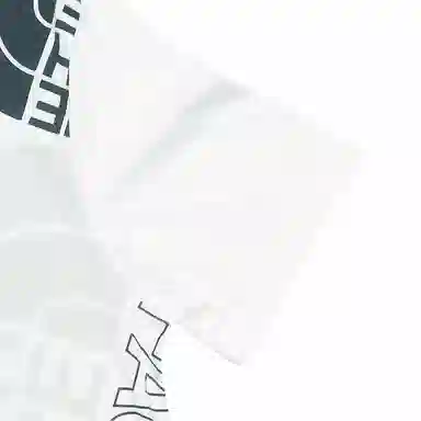 THE NORTH FACE LogoT