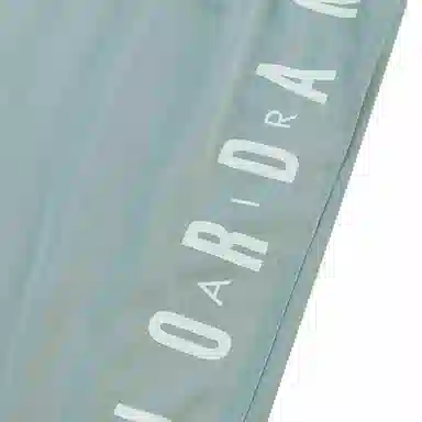 Jordan Shorts Light Smoke Grey