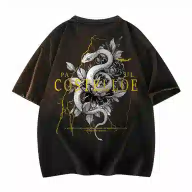 PAUL COSTELLOE T