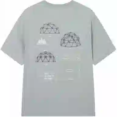 361 T