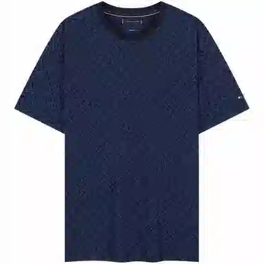 Tommy Hilfiger T