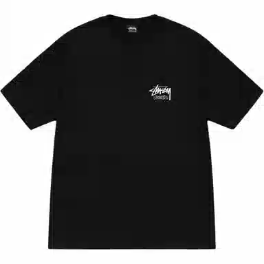 Stussy SS25
