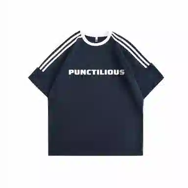 PUNCTILIOUS T