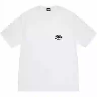 Stussy SS25