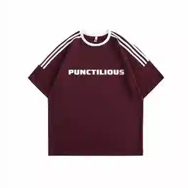 PUNCTILIOUS T