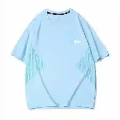 Quiksilver T